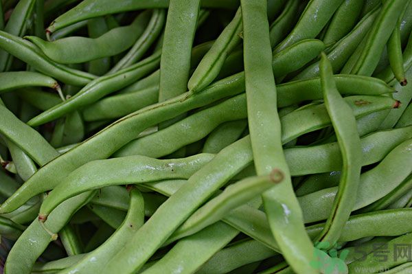 四季豆沒炒熟有毒嗎？四季豆沒熟吃了會怎樣？