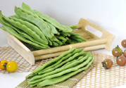 四季豆不好熟怎么辦？四季豆不熟有毒嗎？
