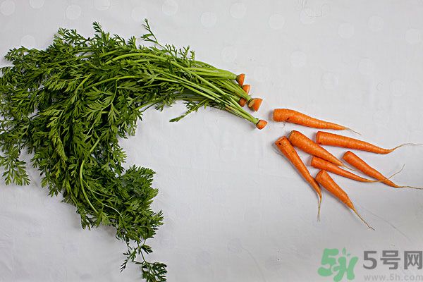 吃西瓜能防曬嗎？吃巧克力能紫外線嗎？