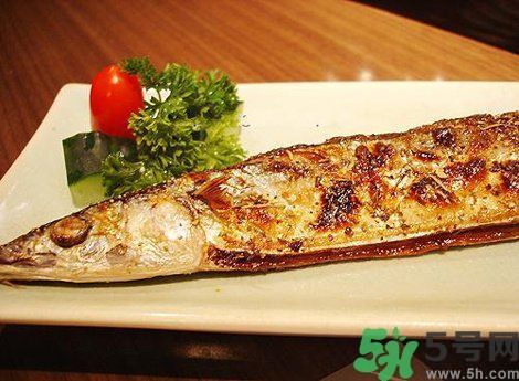 魚身上最有營(yíng)養(yǎng)的地方是哪里？魚的功效與作用？