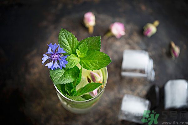 薄荷曬干泡茶有什么好處？薄荷曬干泡水的功效