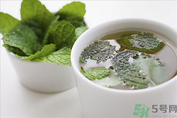 薄荷能美白嗎？薄荷的功效與作用