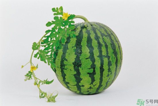 西瓜怎么挑熟的甜的？西瓜的儲存方法？