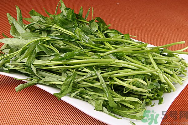 空心菜是菠菜嗎？空心菜是不是菠菜？