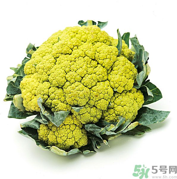 玉川和斯利安哪個(gè)好？葉酸片什么牌子最好？