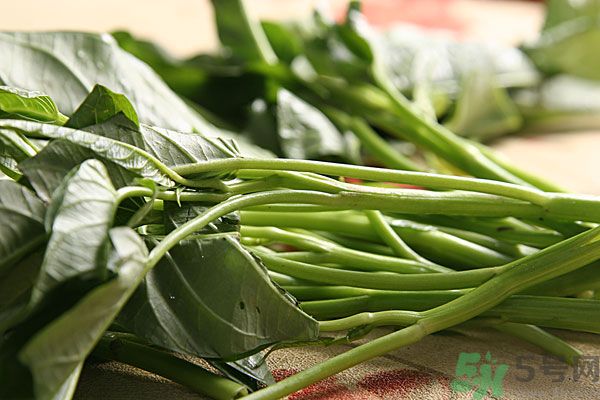 空心菜是菠菜嗎？空心菜是不是菠菜？