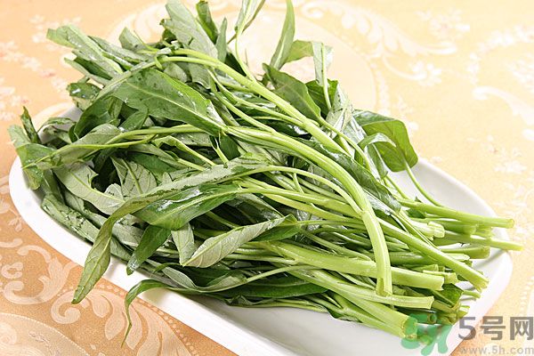 空心菜是菠菜嗎？空心菜是不是菠菜？