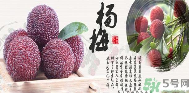 吃楊梅可以防止中暑嗎？中暑可以吃楊梅嗎？