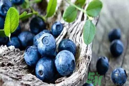 月經(jīng)期間可以吃藍莓嗎？來月經(jīng)可以吃藍莓嗎？