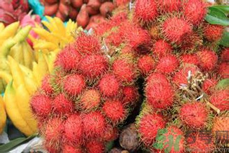 紅毛丹的殼可以吃嗎？紅毛丹的皮可以吃嗎？