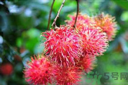 吃紅毛丹可以喝牛奶嗎？紅毛丹和牛奶可以一起吃嗎？
