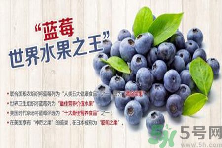 衣服上面染上了藍莓汁怎么辦？藍莓漬怎么清洗？