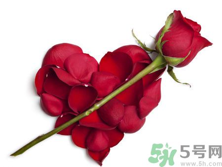 父親節(jié)送什么花好？父親節(jié)送什么花？