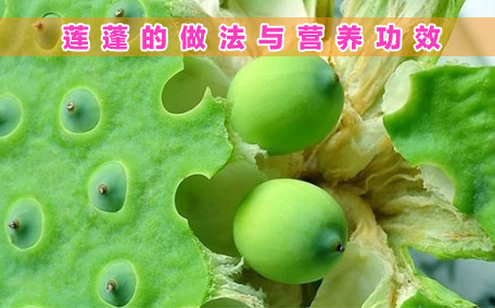 蓮蓬生長在水里嗎 蓮蓬一般什么季節(jié)成熟呢