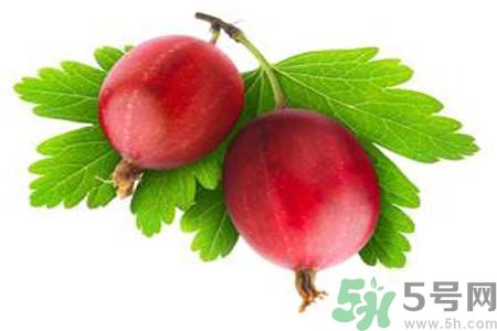 高血壓可以吃無花果嗎？無花果可以降血壓嗎？
