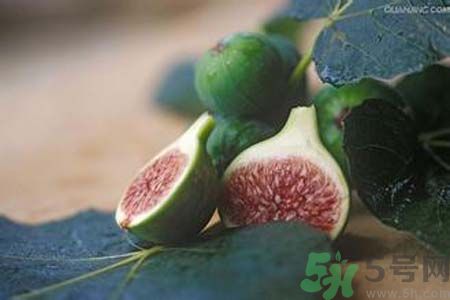 無花果沒熟可以吃嗎？吃了沒熟的無花果會怎樣？