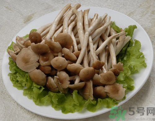茶樹菇可以生吃嗎?茶樹菇生吃會(huì)怎么樣
