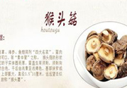  哺乳期可以吃猴頭菇嗎？產(chǎn)婦可以吃猴頭菇嗎？