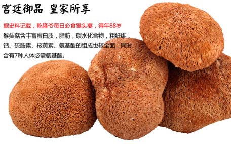 干猴頭菇用開水泡可以嗎 干猴頭菇用什么水泡