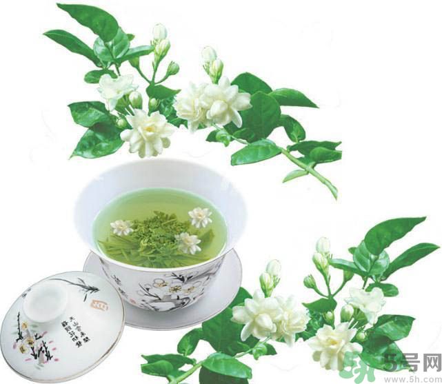 喝茉莉花茶會過敏嗎？喝茉莉花茶過敏了怎么辦？