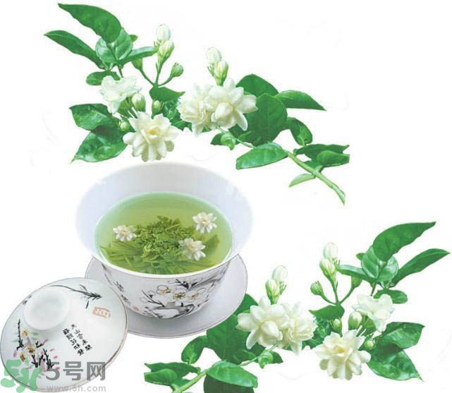 茉莉花茶可以減肥嗎？怎樣喝茉莉花茶可以減肥？