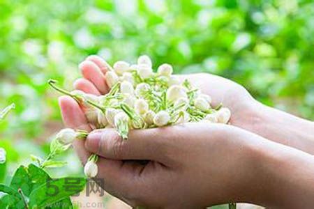 痛風(fēng)可以喝茉莉花茶嗎？痛風(fēng)喝茉莉花茶好嗎？