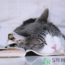 如何控油？如何控油祛痘？