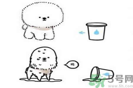 虛胖是什么原因？虛胖怎么辦？