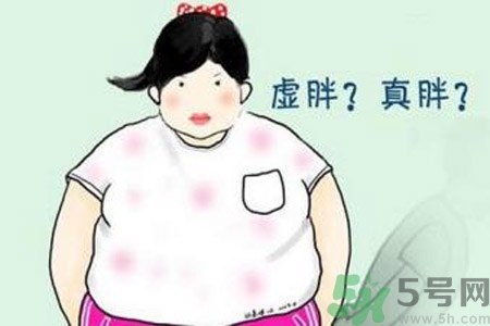 虛胖吃什么中藥？虛胖吃什么中藥有效？