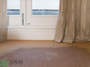 房間潮濕怎么辦？房間潮濕如何解決？