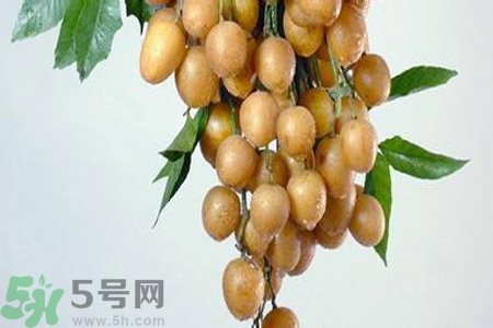 黃皮果是不是發(fā)物？黃皮果是發(fā)物嗎？