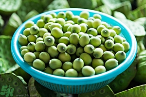 蓮子芯泡茶有什么功效？蓮子心的功效與作用