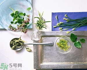 吃韭菜能減肥嗎？韭菜的功效與作用