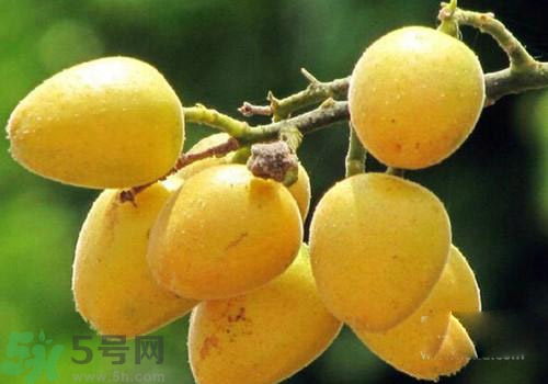 黃皮果的皮可以吃嗎？黃皮果的皮有什么作用