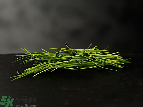 吃韭菜會燒心嗎？吃韭菜燒心怎么辦？