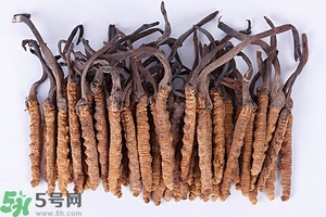 冬蟲夏草是怎么形成的？冬蟲夏草是蟲子嗎？