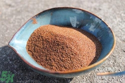 海藻面膜怎么調？海藻面膜的使用方法