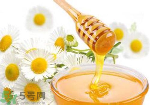 什么蜂蜜才是好蜂蜜？好壞蜂蜜的鑒別