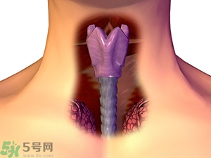 ?皰疹性咽峽炎有什么癥狀？寶寶?皰疹性咽峽炎癥狀