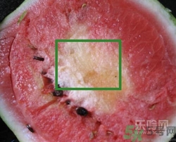 如何辨別催熟的西瓜？催熟的西瓜是什么樣的？
