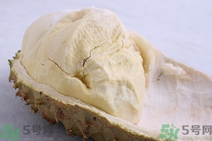 榴蓮能放冰箱嗎？榴蓮放在冰箱能保存幾天？