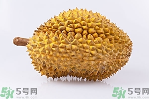 榴蓮能放冰箱嗎？榴蓮放在冰箱能保存幾天？