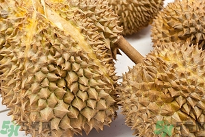 榴蓮能放冰箱嗎？榴蓮放在冰箱能保存幾天？