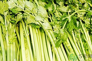 貧血能吃芹菜嗎？貧血吃芹菜好不好？