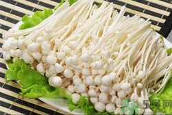 金針菇沒熟透能吃嗎?金針菇沒煮熟有毒嗎?