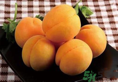 杏子是熱性還是涼性？杏子是涼性的嗎？
