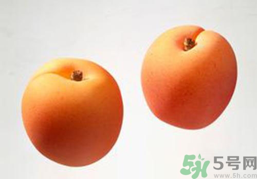 杏子是酸性還是堿性？杏子是酸性的嗎？