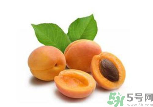 杏子上有黑點是怎么回事？杏子上有斑點可以吃嗎？