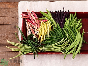 痛風(fēng)能吃豆角嗎？痛風(fēng)吃豆角行嗎？