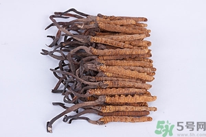 冬蟲夏草真假怎么鑒別？冬蟲夏草怎么吃效果最好？